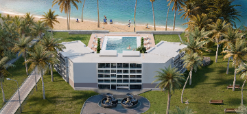 Travelers Palm - Poolside View